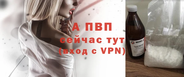 сатива Волосово