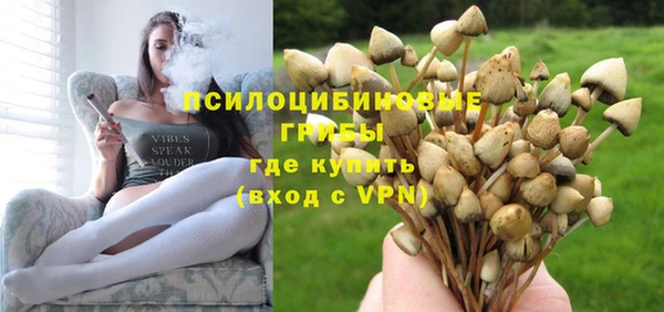 сатива Волосово
