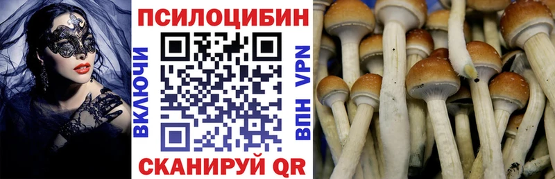купить закладку  kraken вход  Галлюциногенные грибы Magic Shrooms  Вятские Поляны 