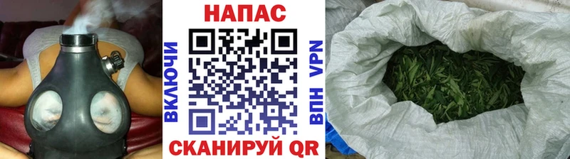 цена   Вятские Поляны  Марихуана ГИДРОПОН 